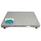Adam Equipment Stainless Steel Washdown Platform Scale PT 315-5S [AE403a] - alternate 1